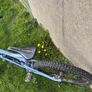 Mountain bike Image 6