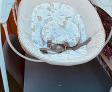 Graco Baby Swing