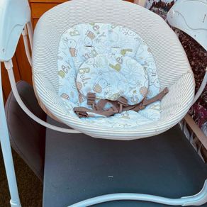 Graco Baby Swing