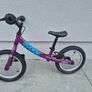 Ridgeback Scoot XL Image 2