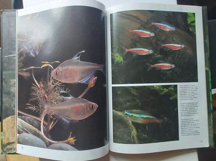 Tropical Fish and Aquarium Books