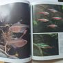 Tropical Fish and Aquarium Books Image 7