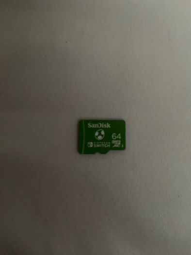 Nintendo Switch Lite and SanDisk 64GB card
