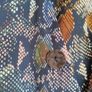 Women's snake print dress Image 4