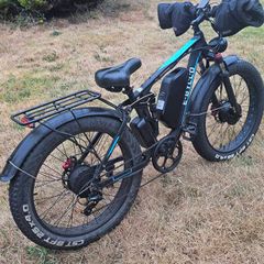 Pudari EB7 Adult Electric Bicycle 52V