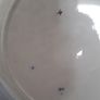 DISH & PLATE - Flow Blue - c.pre 1861 Image 5