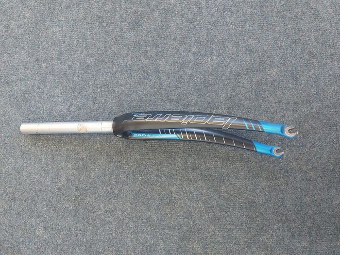 Carbon fork