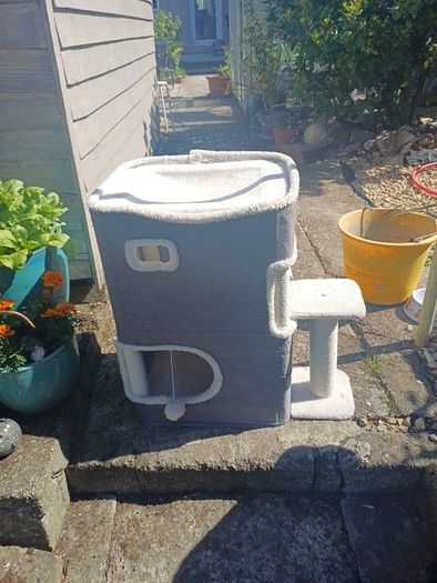 cat house