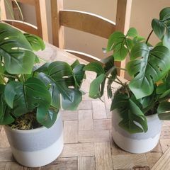 Artificial Monstera Plants in Ceramic Pots x 2