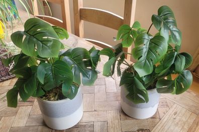 Artificial Monstera Plants in Ceramic Pots x 2