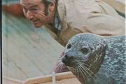 A Seal Called Andre - The Two Worlds of a Maine Harbor Seal