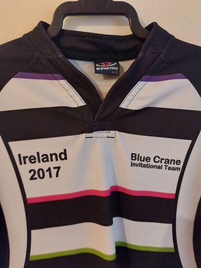 blue crane rugby jersey