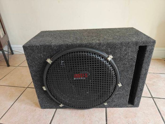 Car subwoofer