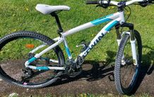 Rockrider 540 mountain bike.