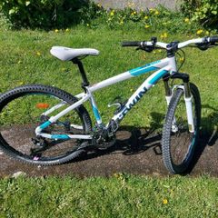 Rockrider 540 mountain bike.