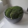 Preserved moss planter Image 2