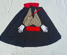 Dracula fancy dress Halloween costume book club