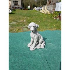 Dog Labrador med-GL-DS053