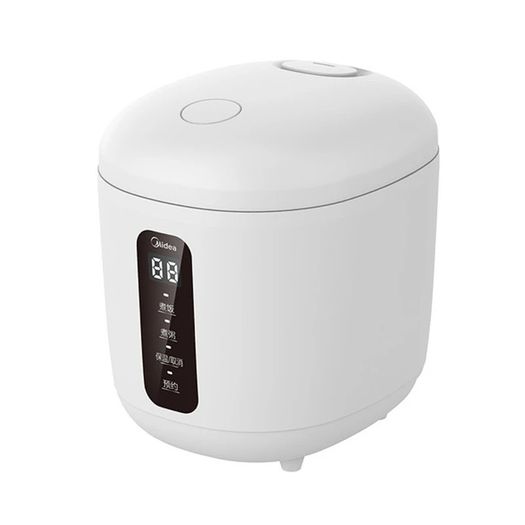 Electric Rice