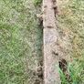 Bricks, Greenhouse Base Image 2