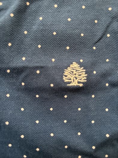 Mens polo shirt, size Large.