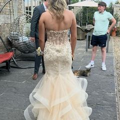 debs dress