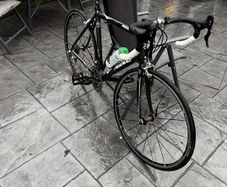 Ridley triton
