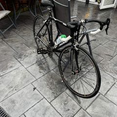 Ridley triton