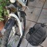 bike, teen or small adult, bicycle Image 3