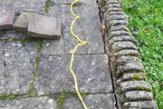 jump leads