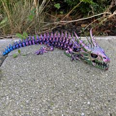 Dragon skeleton