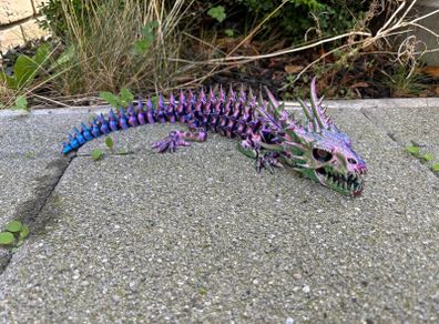 Dragon skeleton