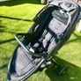 buggy Image 2