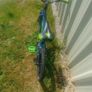 Kids Bike Image 6