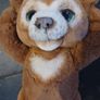 Cubby the Curious Bear Image 3