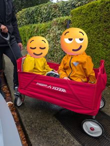 Radio Flyer Folding Wagon / Trolley with Seatbelts