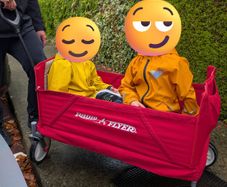 Radio Flyer Folding Wagon / Trolley with Seatbelts