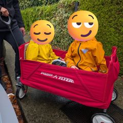Radio Flyer Folding Wagon / Trolley with Seatbelts