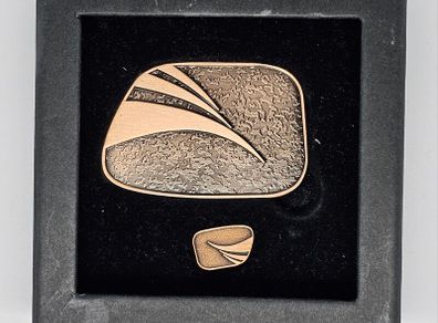 Gaisce The Presidents Aword Medal and Pin