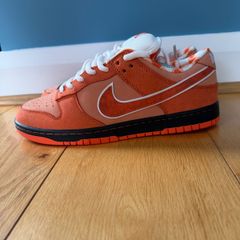 SB Dunk.