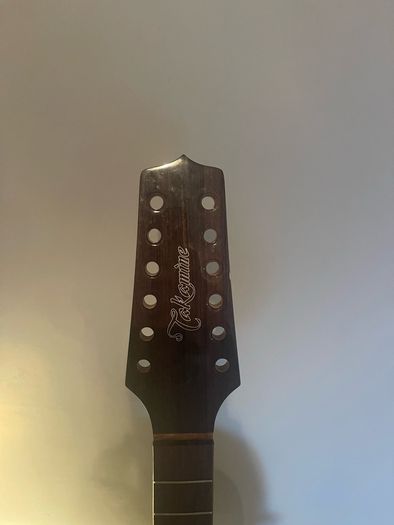 takamine 12 string body needs work