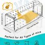 Mouse Trap Image 2