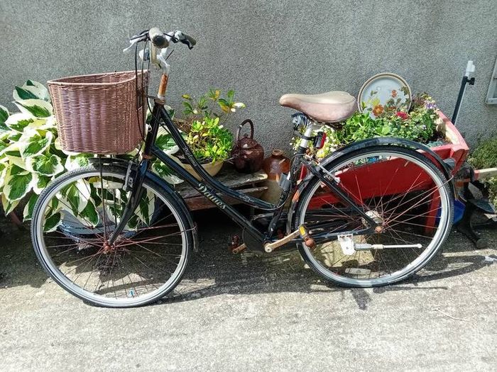 Ladies Bicycle