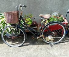 Ladies Bicycle
