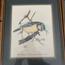 Vintage bird prints by the British wildlife artist David Andrews Image 3