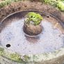 garden and patio water feature or planter Image 6