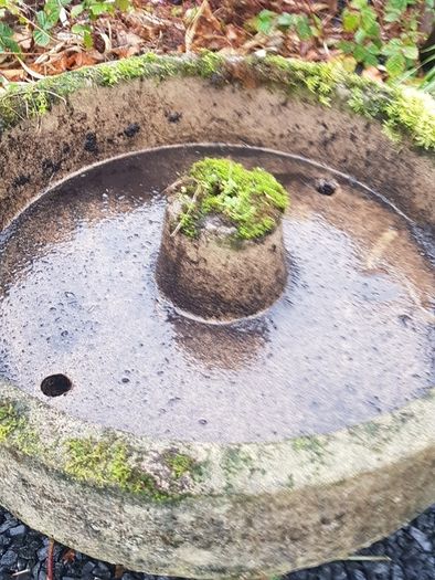 garden and patio water feature or planter