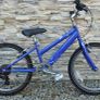 Raleigh purple bicycle on 20 inch wheels. Image 2