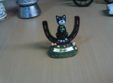 Lucky Black Cat