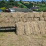 Small square bales of hay Image 2